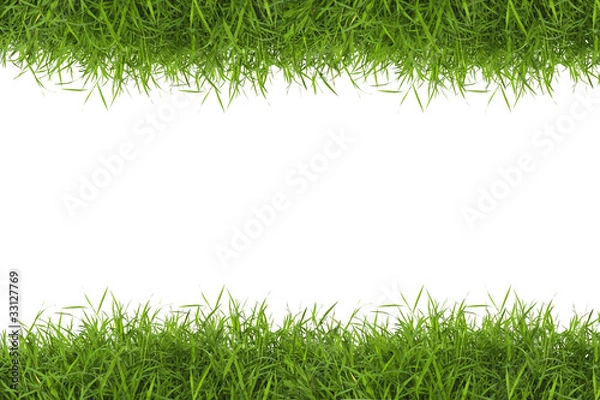 Obraz Grass frame