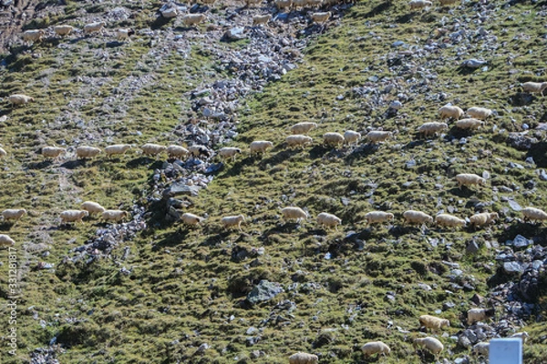 Fototapeta Грузия