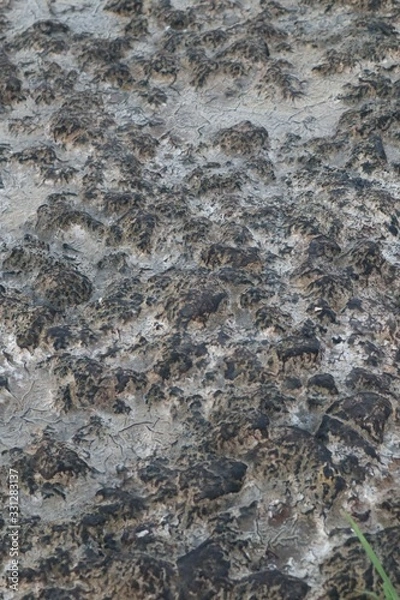 Obraz Eingetrocknet, dystopische Landschaft