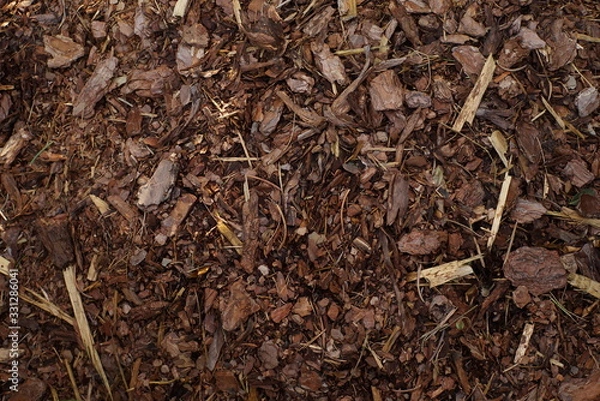 Fototapeta Textur Mulch