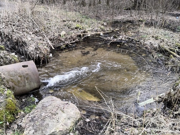 Obraz crocodile in water