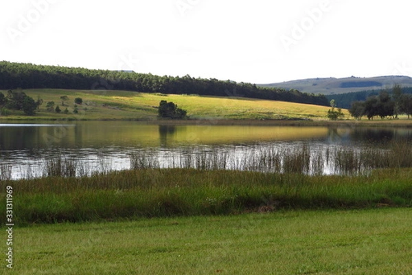 Obraz Late afternoon sun on a hillside beside a country dam.