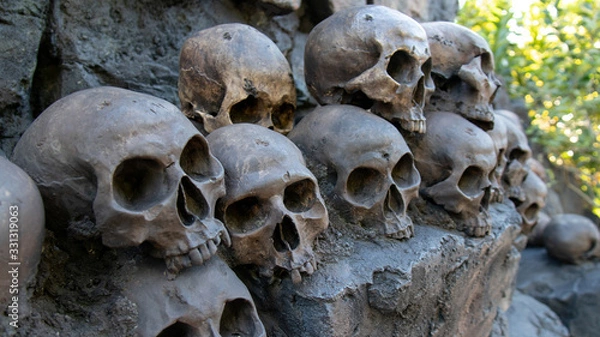 Obraz Stone skull sculpture wall