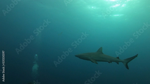 Obraz dun...dun...dun...dun...