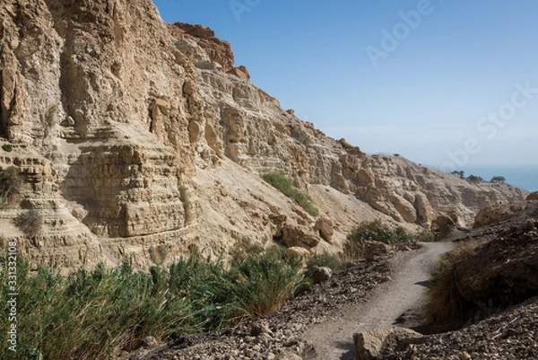 Fototapeta Ein Gedi National Park at Southern Israel