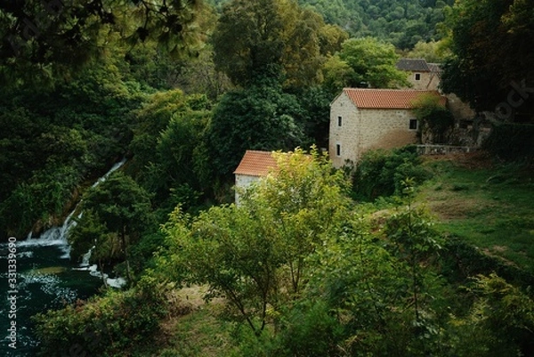 Fototapeta house in the forest