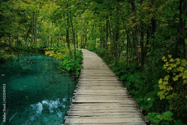 Fototapeta wooden bridge in forest