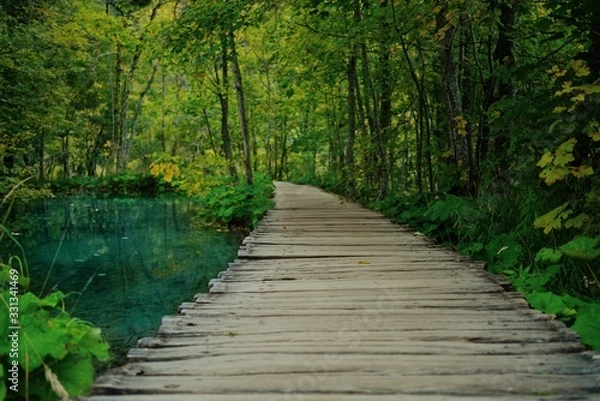 Obraz wooden bridge in forest