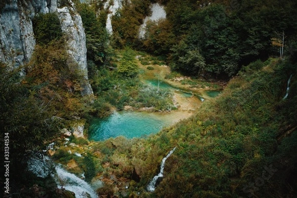 Obraz waterfall in forest