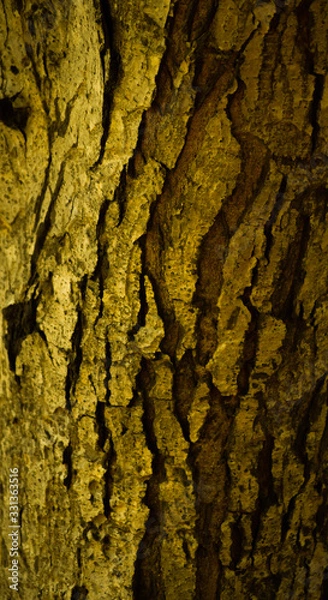 Obraz wooden texture