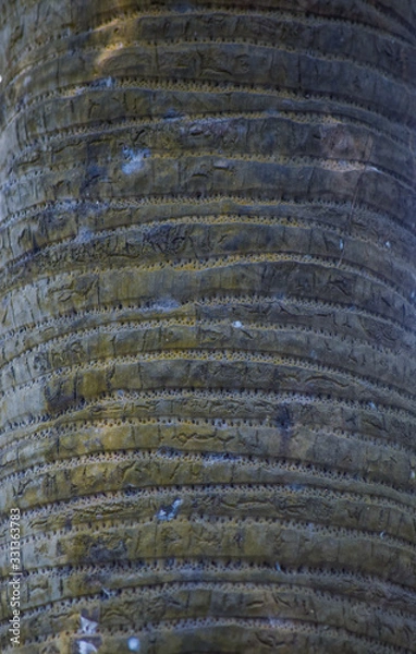 Fototapeta abstract background