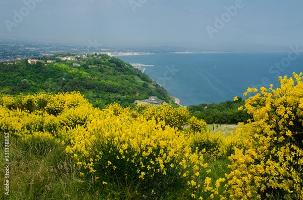 Obraz Flowers near the sea