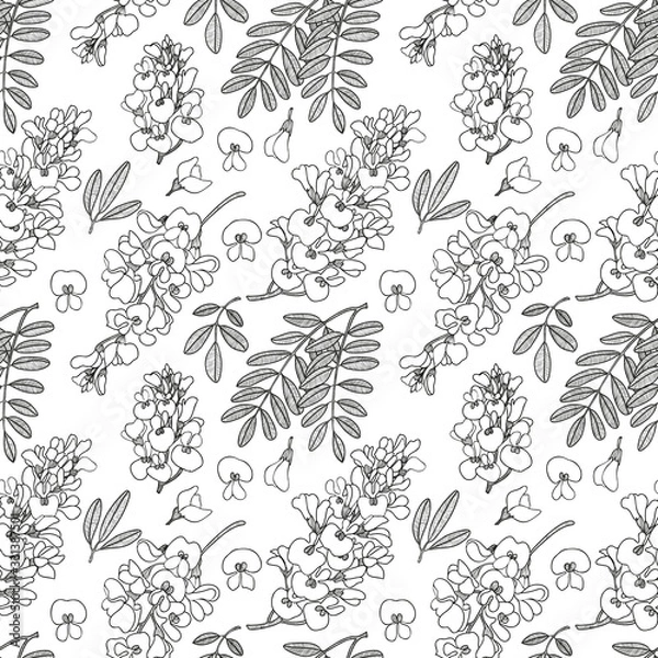 Obraz Acacia  pattern vector flower graphic