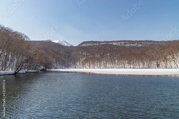 Fototapeta Towada Hachimantai National Park in winter