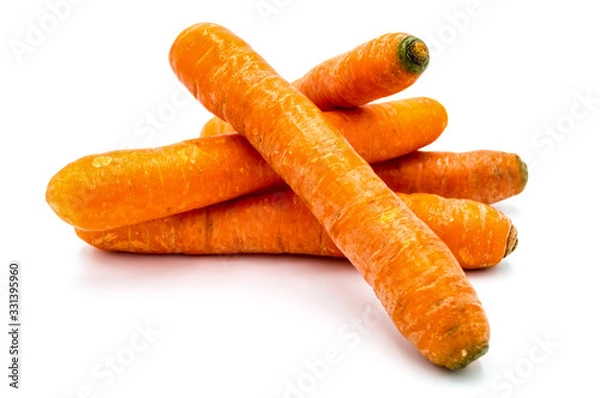 Obraz Ripe carrots isolated