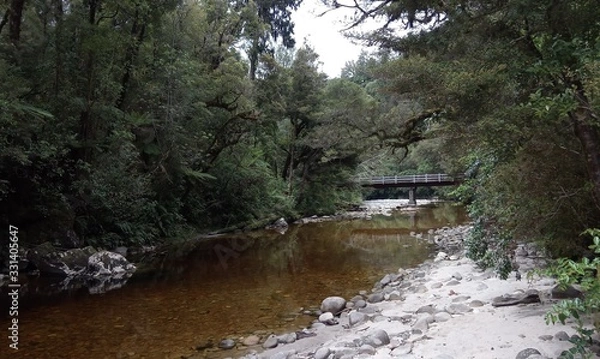 Fototapeta Blick auf den Oparara River