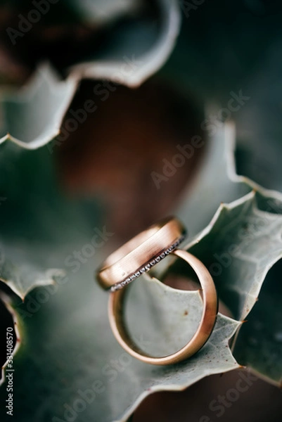 Fototapeta Eheringe in grün und gold auf Blatt