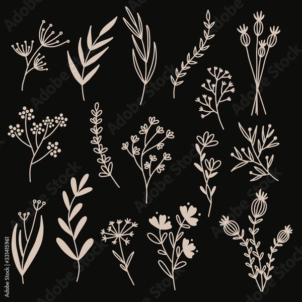 Obraz Flowers from the field. Vector illustration.