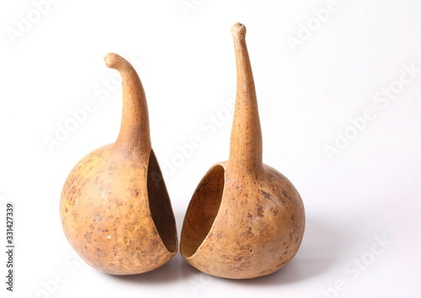 Obraz Dried calabash fruits, Bottle gourd