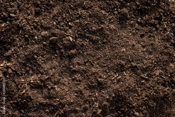 Obraz Soil texture background, Fertile loam soil suitable for planting.