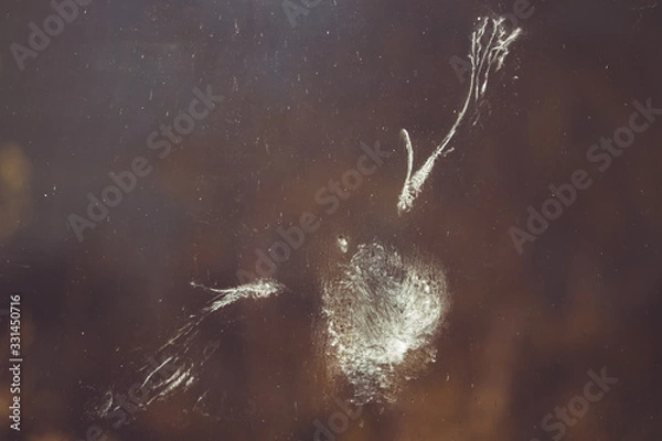 Fototapeta The impression of a pigeon bird's body, wings and feathers in powder down dust on a window after impact or collision