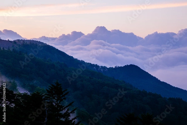 Fototapeta 長野の雲海と朝焼け