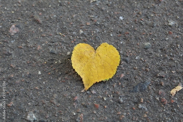 Fototapeta heart on autumn leaf