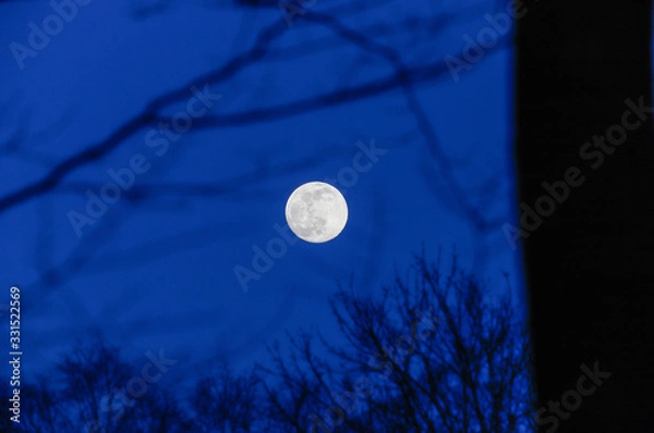 Obraz okrągły księżyc 