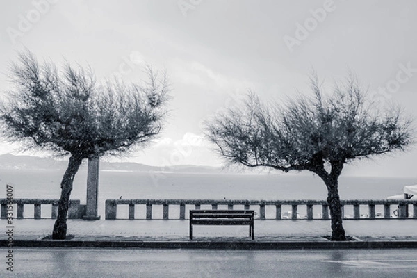 Obraz Dias Cinzentos