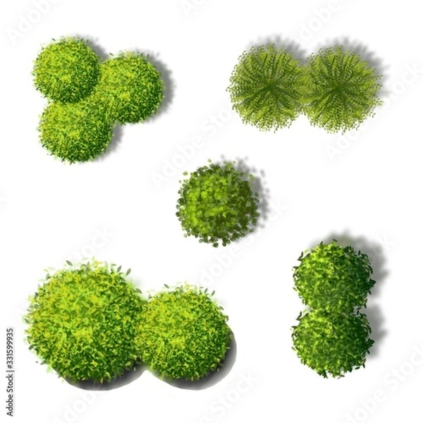 Fototapeta Set of tree top view isolated for landscape plan or gardening 