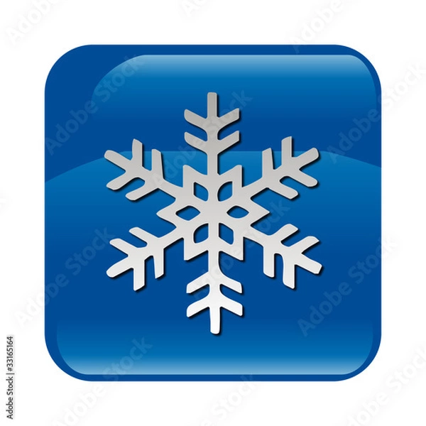 Obraz Botón nieve