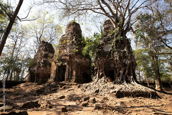 Obraz カンボジア　プラサット・プラム寺院