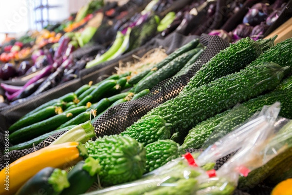 Obraz 野菜　ゴーヤ