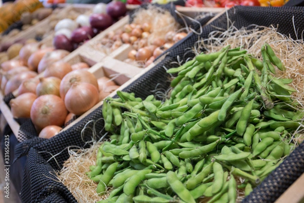 Obraz 野菜　枝豆