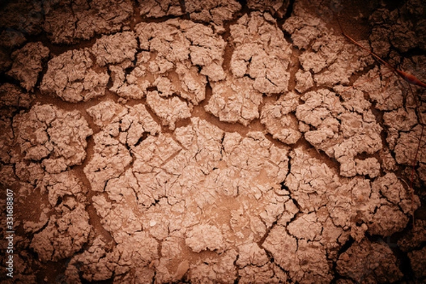 Obraz Desert ground texture