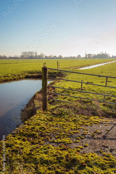 Fototapeta Vertical image with in the foreground mosses on a small concrete bridge. Behind it is a crooked steel gate attached to a wooden post. The photo was taken in a Dutch polder.