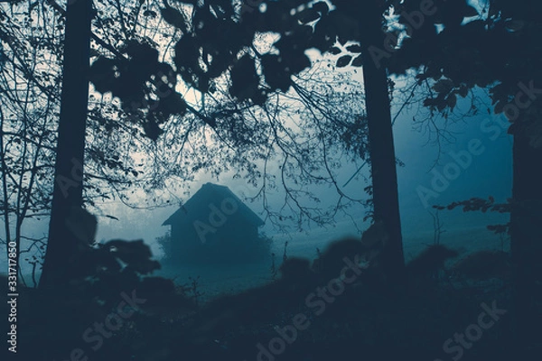 Obraz Spooky background with dark forest view with old house