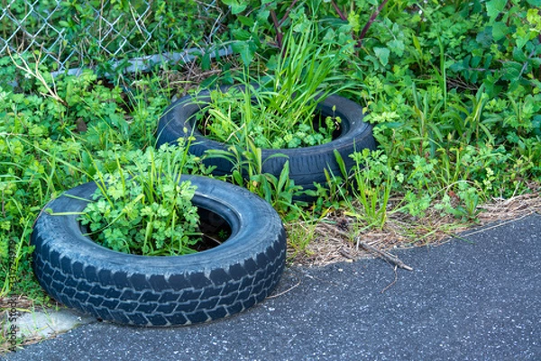 Fototapeta 放置されたタイヤ