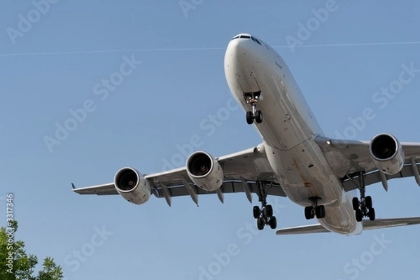Obraz landing over the trees
