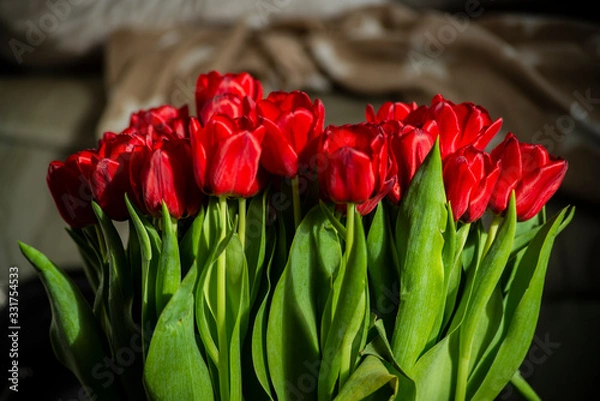 Obraz Tulipany