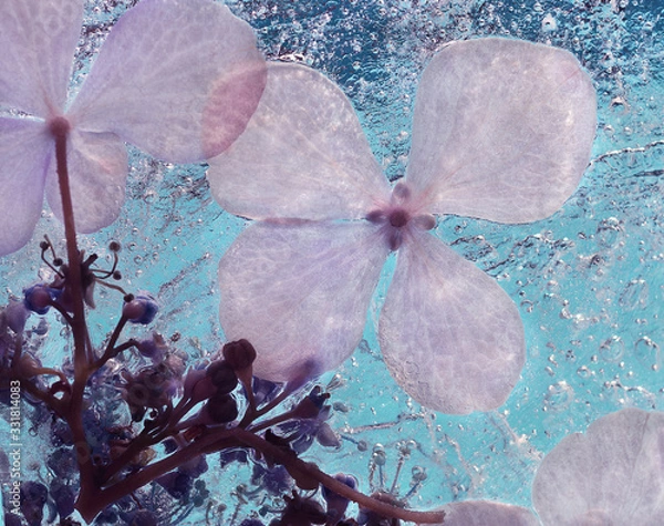 Obraz Blüten in Eis