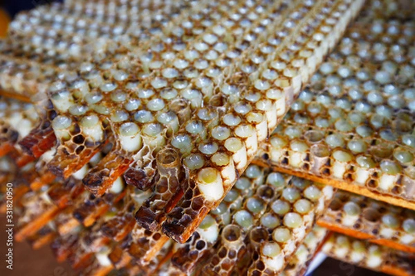 Fototapeta Honeycomb and honey