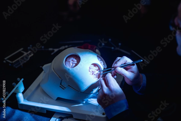Obraz Medical students learn about brain surgery tools