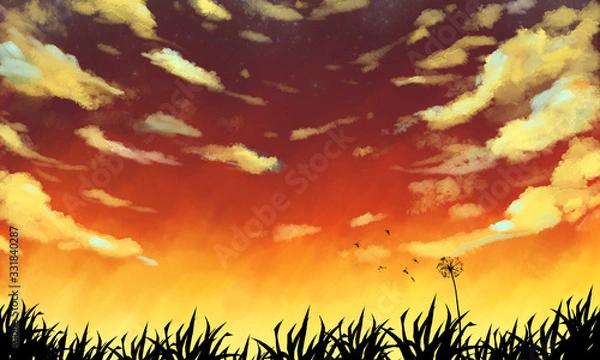 Obraz sunset in the forest