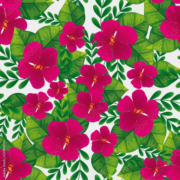 Fototapeta tło ładny kolor fuksja kwiaty z gałęzi i liści wektor ilustracja projekt