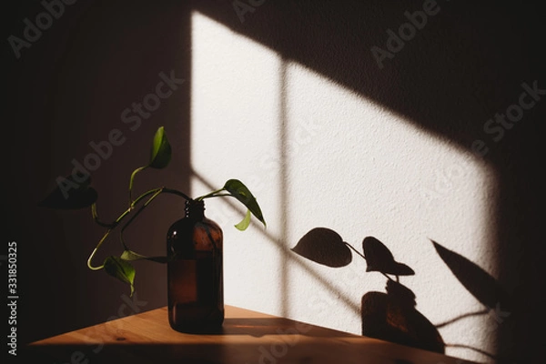 Obraz Leaves in Bottle