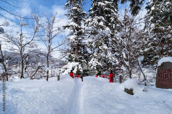 Fototapeta 【青森県黒石市】中野もみじ山の雪景色