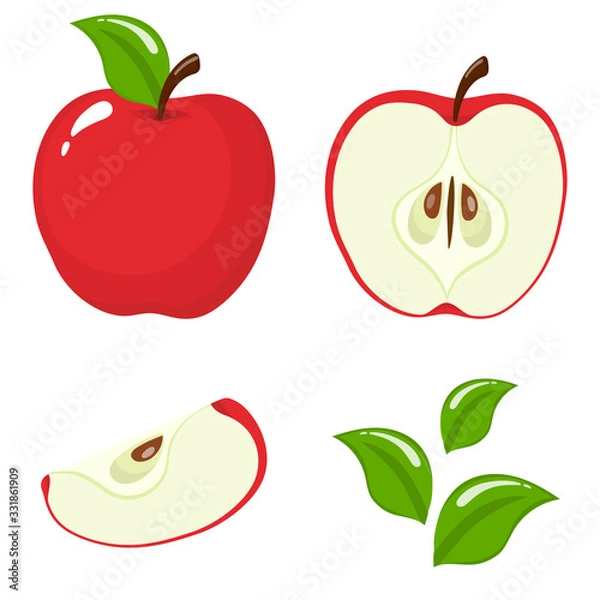 Obraz Set of fresh whole, half, cut slice and leaves red apple fruit isolated on white background. Summer fruits for healthy lifestyle. Organic fruit. Cartoon style. Vector illustration for any design.