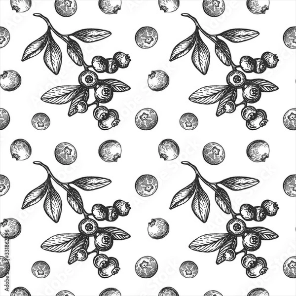 Fototapeta Vector  pattern with ink blueberry