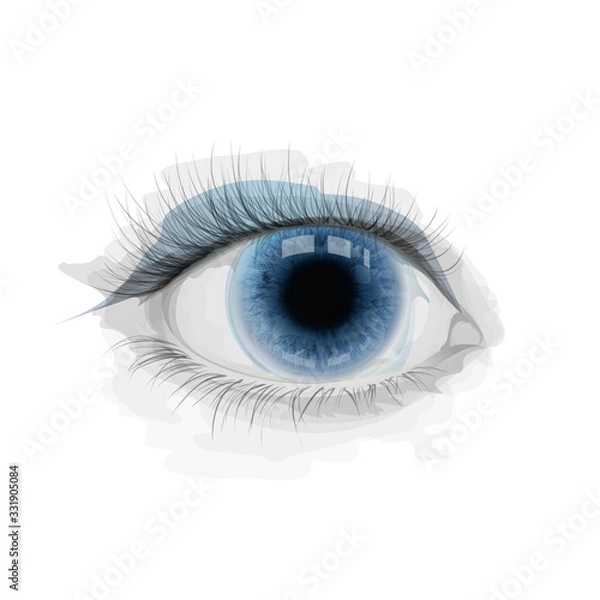 Obraz Blue vector eye with watercolor imitation stains. Realistic eye iris. Illustration for cosmetology, ophthalmology clinic, extensions eyelashes. Vector, EPS 10